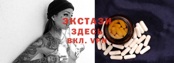 индика Пестово