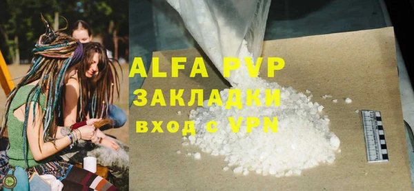 стаф Алексин