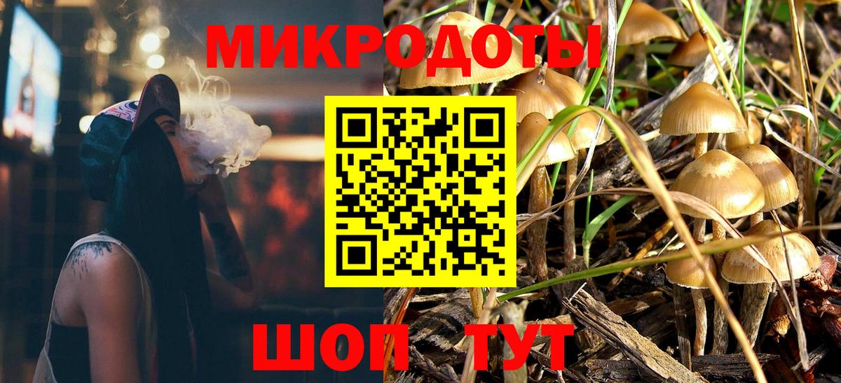 купить закладку  Вход с VPN  Серов  Галлюциногенные грибы мицелий 