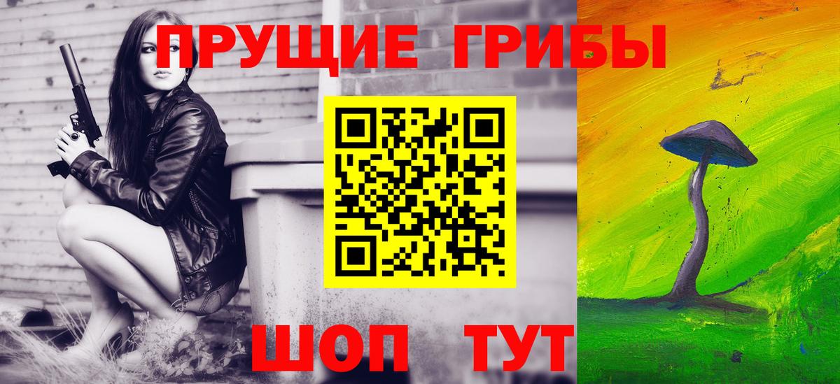 Псилоцибиновые грибы прущие грибы Серов